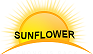 Sunflower Sun wah chong